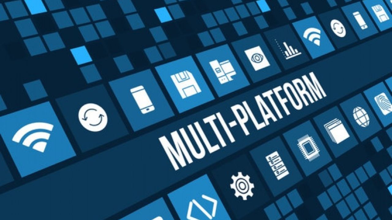 Digital Platform Economics