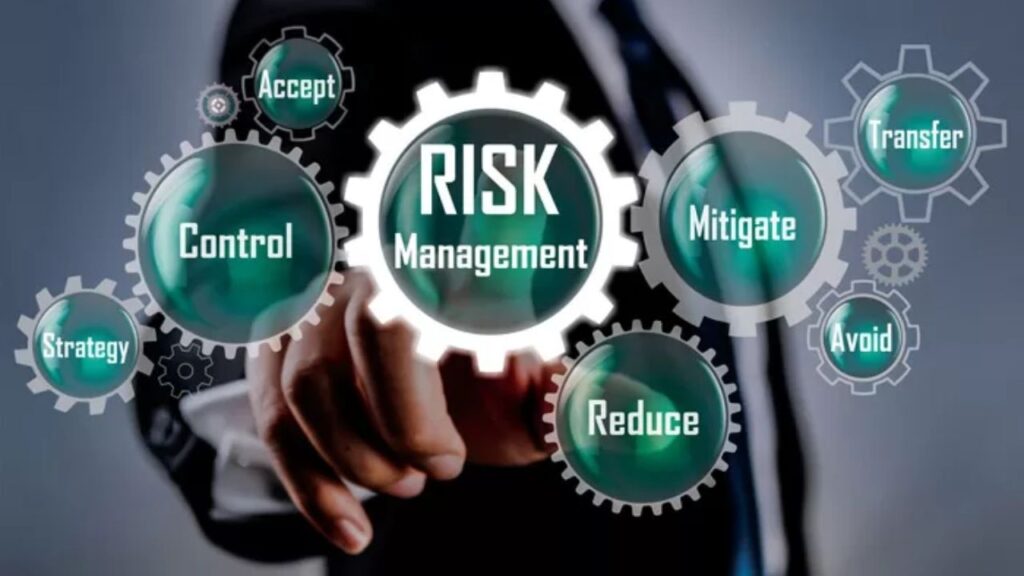 Risk Management Frameworks in Digital Strategy